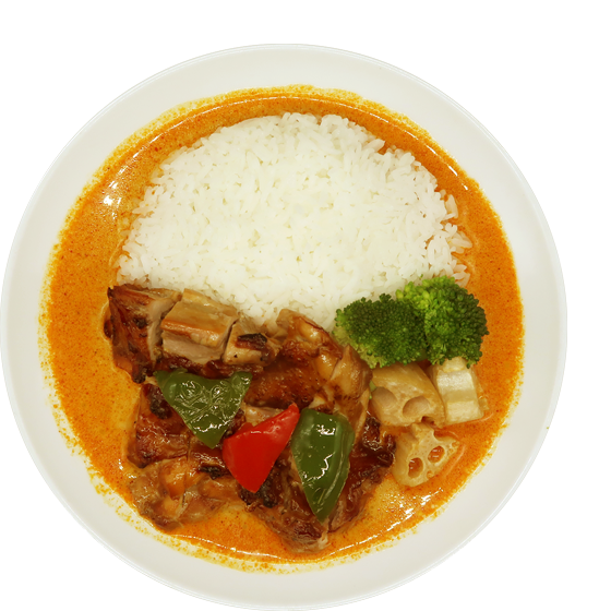 本日のカレーガイヤーン